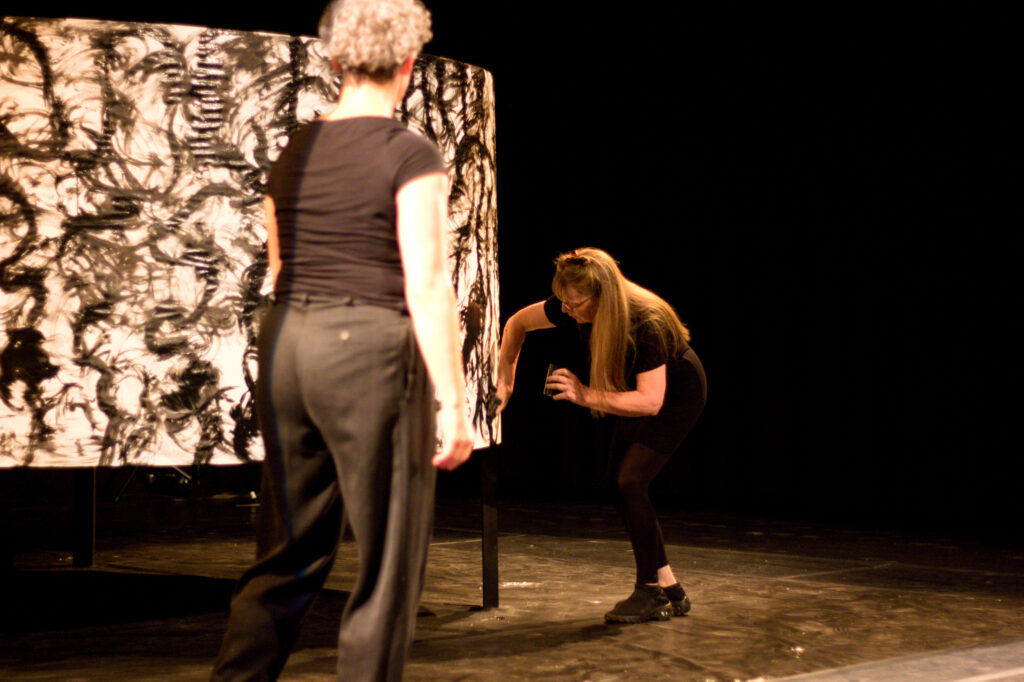 Extra Visibilia - Sylvie Cairon et Céline Gayon - Photo JYL